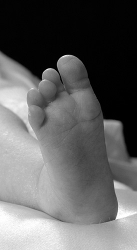 bwammara foot2056