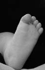 baby foot2058