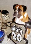 Dog_Tyson_LR8509